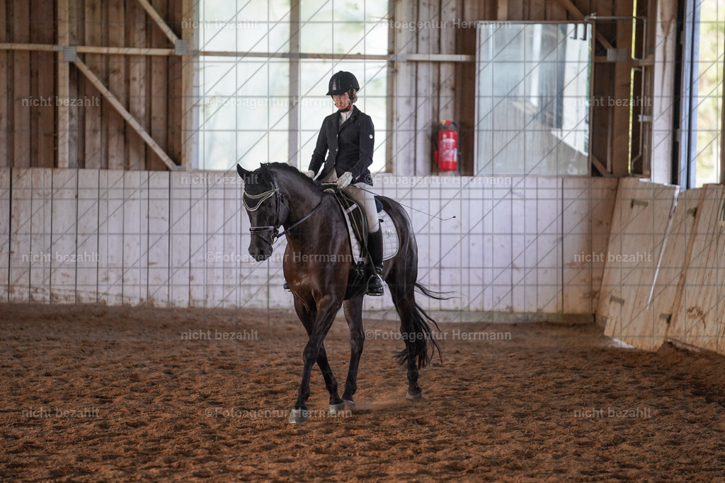 20230917-FAH09955 | Landsberg am Lech, 2023, Kaufbeuren, Kempten, Allgäu, Turnierfotografen Bayern, Fotoagentur Herrmann, Turnierbilder, Reitsport Fotos, Pferdefotograf, Augsburg, Bad Tölz, Dachau, Karlsfeld, Memmingen, Buchloe, Schwabmünchen