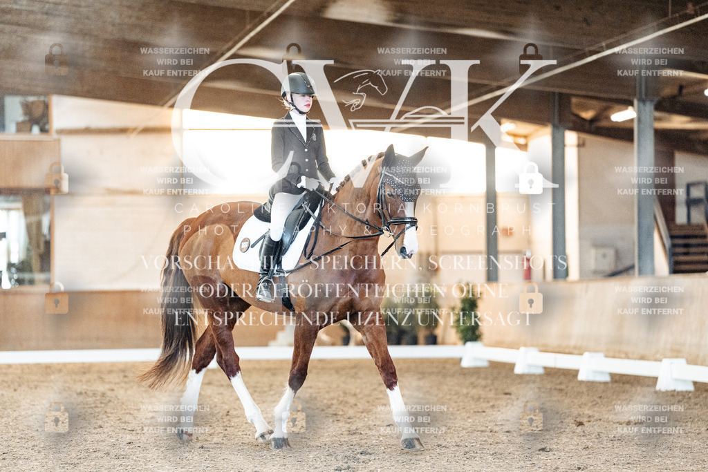 CK906679 | Turnierfotografie Pferdefotografie Trier Rheinland-Pfalz Pferdesport Reitsport Tierfotografie Sportfotografie Pferdevideo Pferdevideografie Equestrianvideography equestrianphotography  - Realisiert mit Pictrs.com