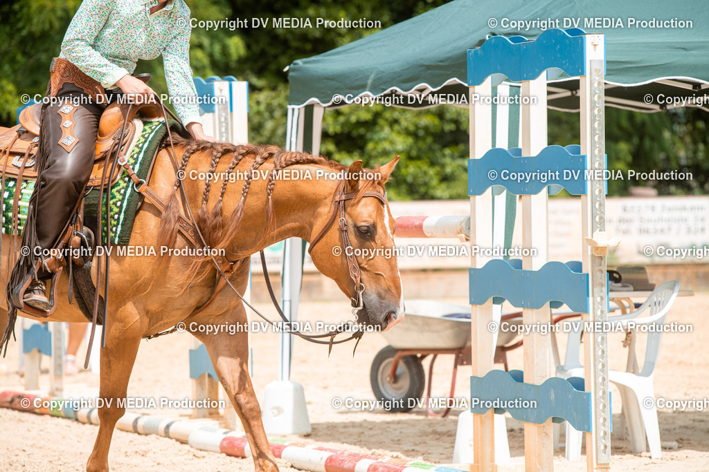 EWP_6255 | dv-media-shop - Realisiert mit Pictrs.com