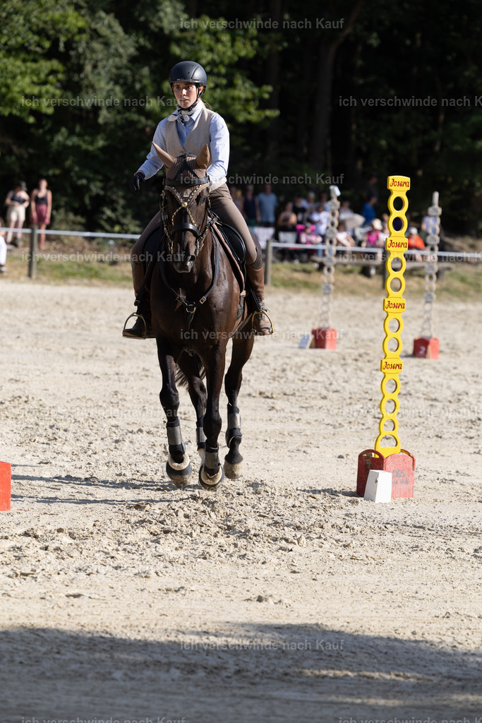 WS_SPEED_19_KerstinBernhardt-11 | working equitationturnier fotograf videograf stoibphotography marixx film working equitation deutschland reitsport turnierfotografie eventfotografie equestrian events