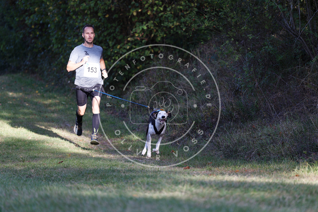 0L8A5084 | Hundefotografie, Tierfotograf, Pfotenfotografie, Fotoshooting Hund, Hunde Portrait, Hundesport, Hundeportraits, Heideshooting, Hunde, Sportfotograf, Hundefotograf, Turnierhundsport, THS,  - Realisiert mit Pictrs.com