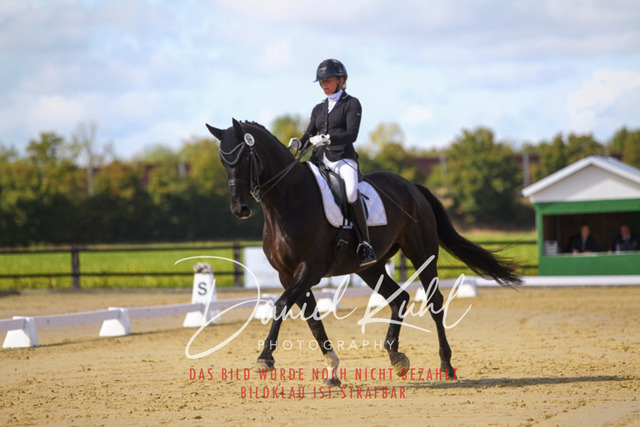 DKP45335 | Turniersportfotografie; Pferdefotografie; Dressurfotografie