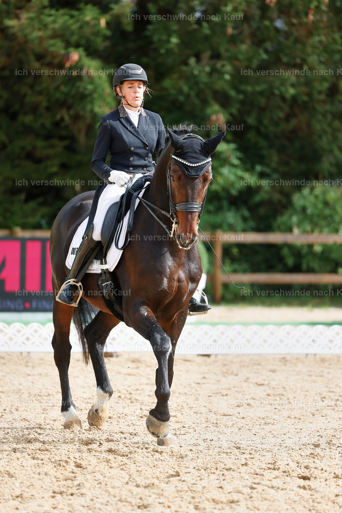 07-007-DRESSUR  S___  -StoibPH-5016 | working equitationturnier fotograf videograf stoibphotography marixx film working equitation deutschland reitsport turnierfotografie eventfotografie equestrian events