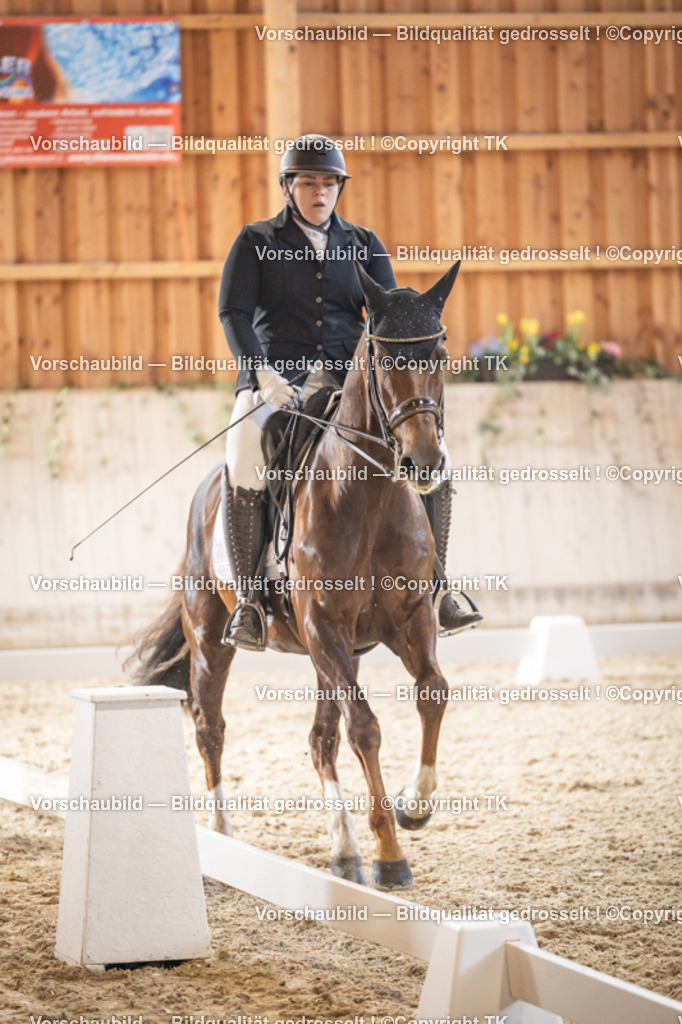 _D5A8978 | Emotionale Pferde- & People-Fotografie rund um Heidelberg, Leimen & Umgebung. Natürliche Fotos von Pferd, Mensch & Familie. Jetzt Termin sichern!