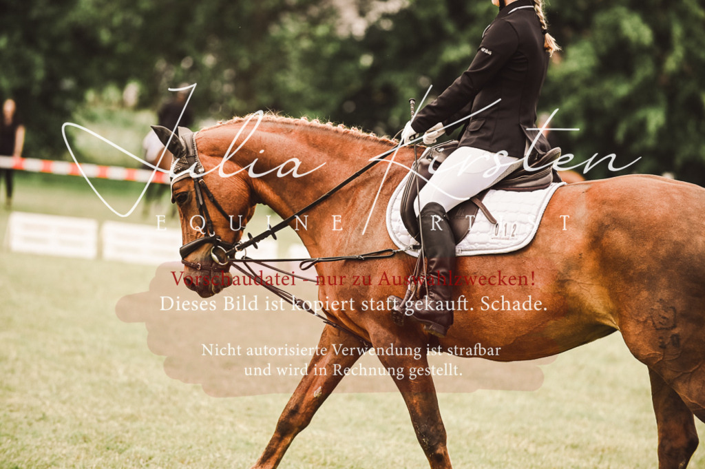 DSC_4841 | Pferde- und Turnierfotografie in Westsachsen. Pferdeportraits, Auftragszeichnungen und intuitive Kunst.