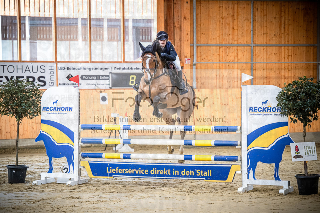 DOS_0299 | Entdecke hochwertige Reitturnierfotos von Foto Oger. Professionell, emotional und authentisch – jetzt Lieblingsmomente im Shop bestellen.Deutschlandweite Turnierfotografie. - Realisiert mit Pictrs.com