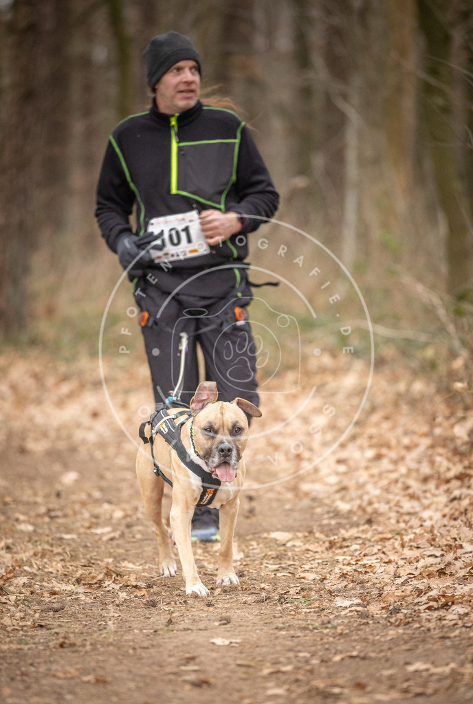 Pfotenfotografie_DV3A7643 | Hundefotografie, Tierfotograf, Pfotenfotografie, Fotoshooting Hund, Hunde Portrait, Hundesport, Hundeportraits, Heideshooting, Hunde, Sportfotograf, Hundefotograf, Turnierhundsport, THS,  - Realisiert mit Pictrs.com