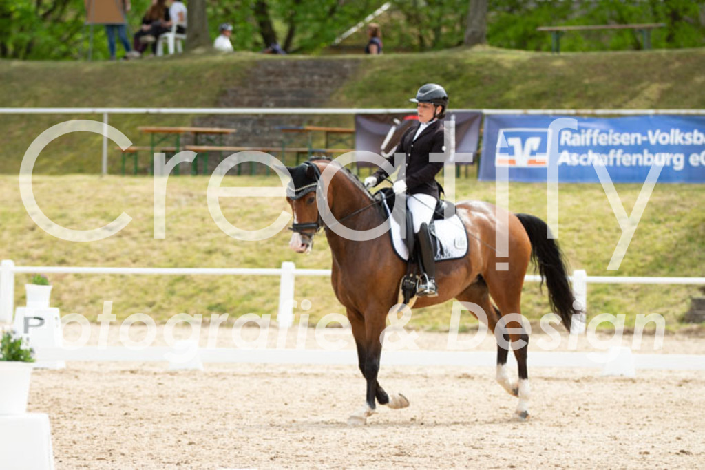 IMG_2865 | Creatify Fotografie