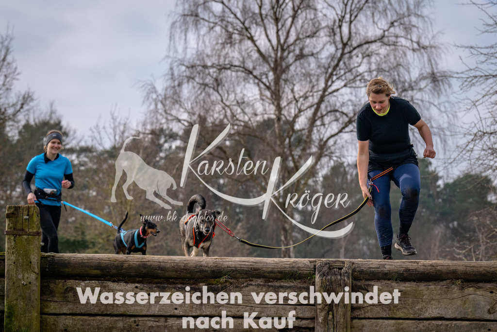 _ZZ91377 | kk-dogfotos