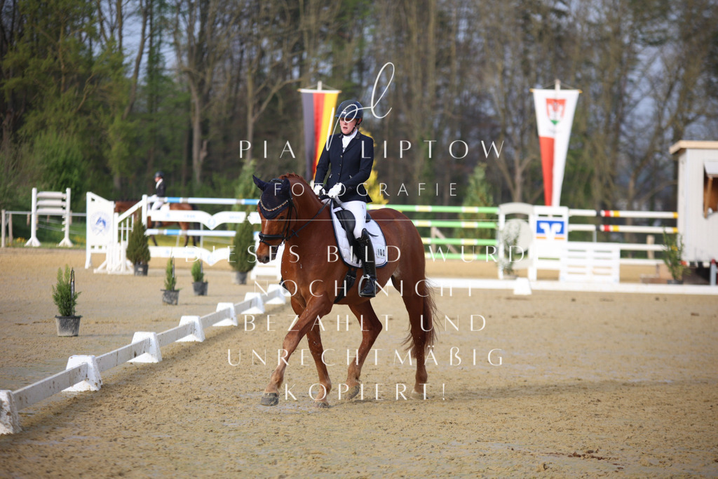 IMGT8340 | pl-fotografie