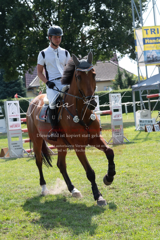 DSC_0721 | Pferde- und Turnierfotografie in Westsachsen. Pferdeportraits, Auftragszeichnungen und intuitive Kunst.