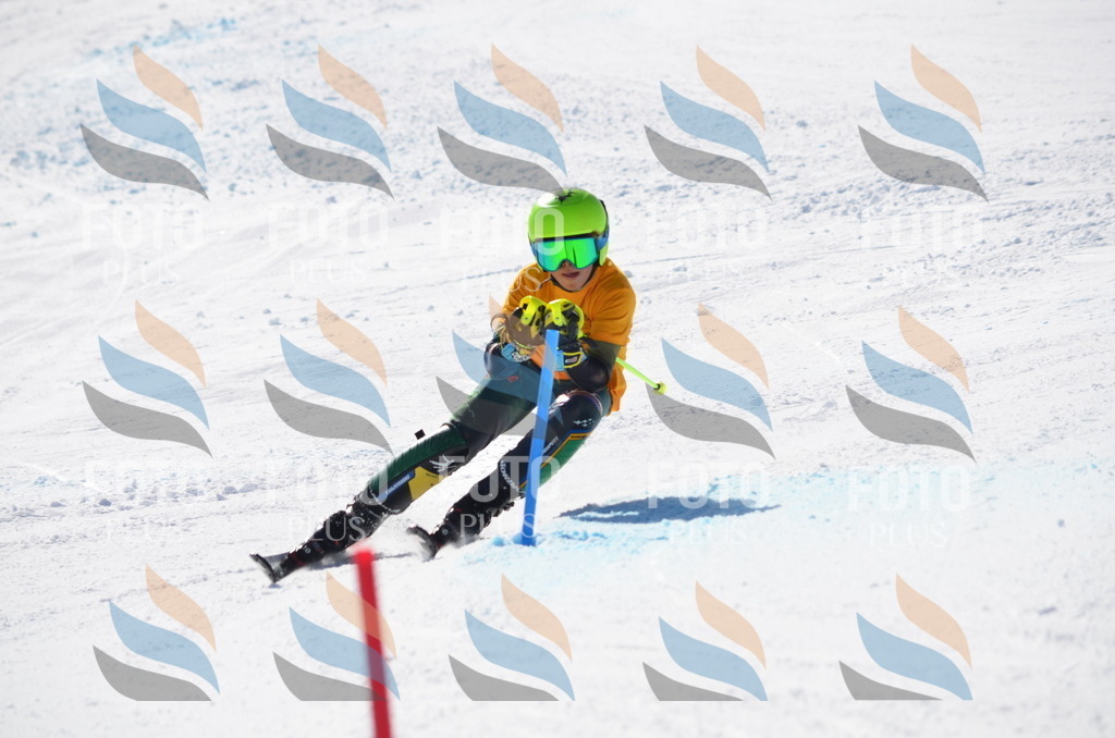 C9678 | holidayphoto