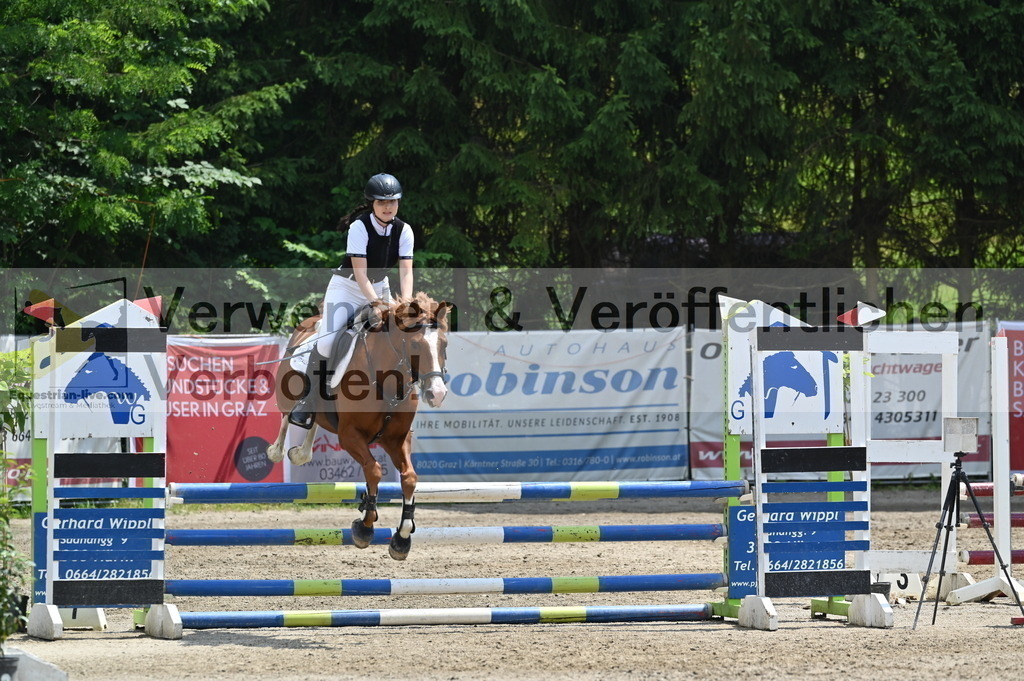 DSC_4510 | equestrian-live-com
