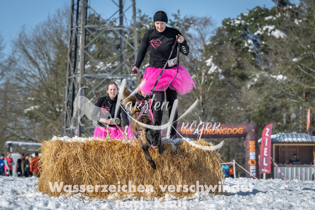 1103_ZZ94483-2 | kk-dogfotos