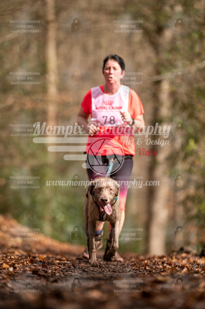 SPA_2023_DIM_CCL-211 | PayLife