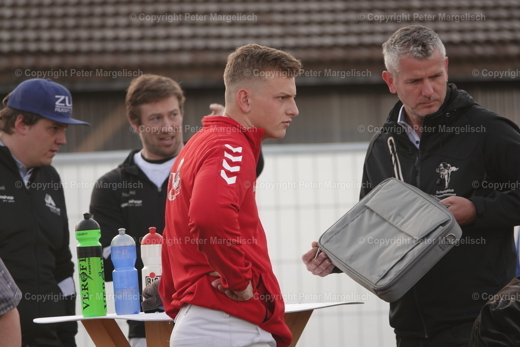 DSC03562 | Schwingen - Realisiert mit Pictrs.com