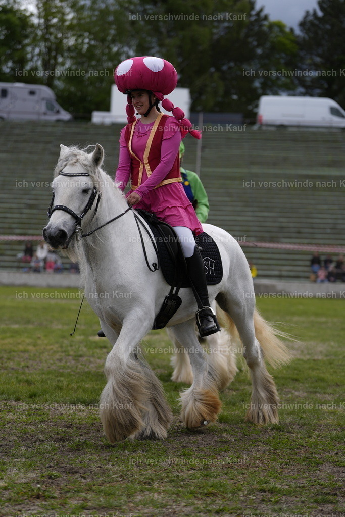 PI26_Show_BTS_StoibphotographyPI26_Show_BTS_Stoibph_DSC0884.JPG.JPG | working equitationturnier fotograf videograf stoibphotography marixx film working equitation deutschland reitsport turnierfotografie eventfotografie equestrian events
