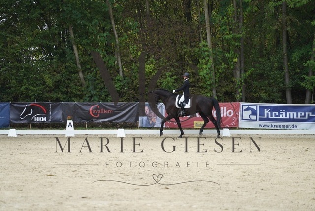 VAN04692 | Marie Giesen Fotografie - Realisiert mit Pictrs.com