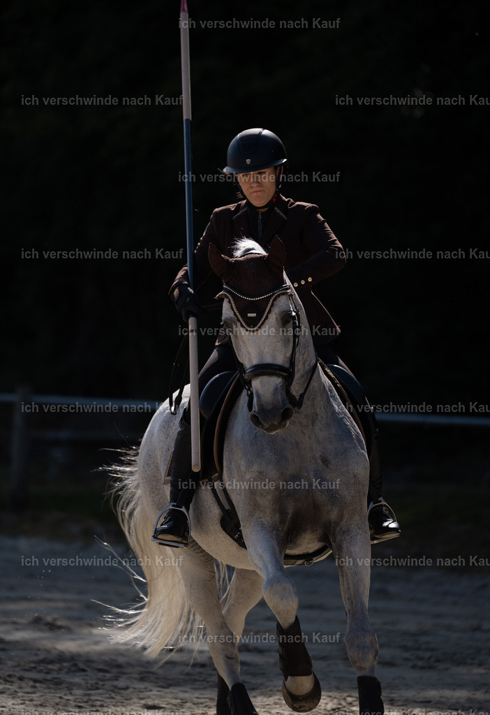 WM_ST_143_stoibphotography__SO10245 | working equitationturnier fotograf videograf stoibphotography marixx film working equitation deutschland reitsport turnierfotografie eventfotografie equestrian events