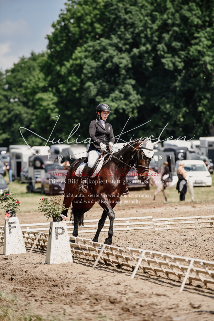 DSC_1060 | Pferde- und Turnierfotografie in Westsachsen. Pferdeportraits, Auftragszeichnungen und intuitive Kunst.