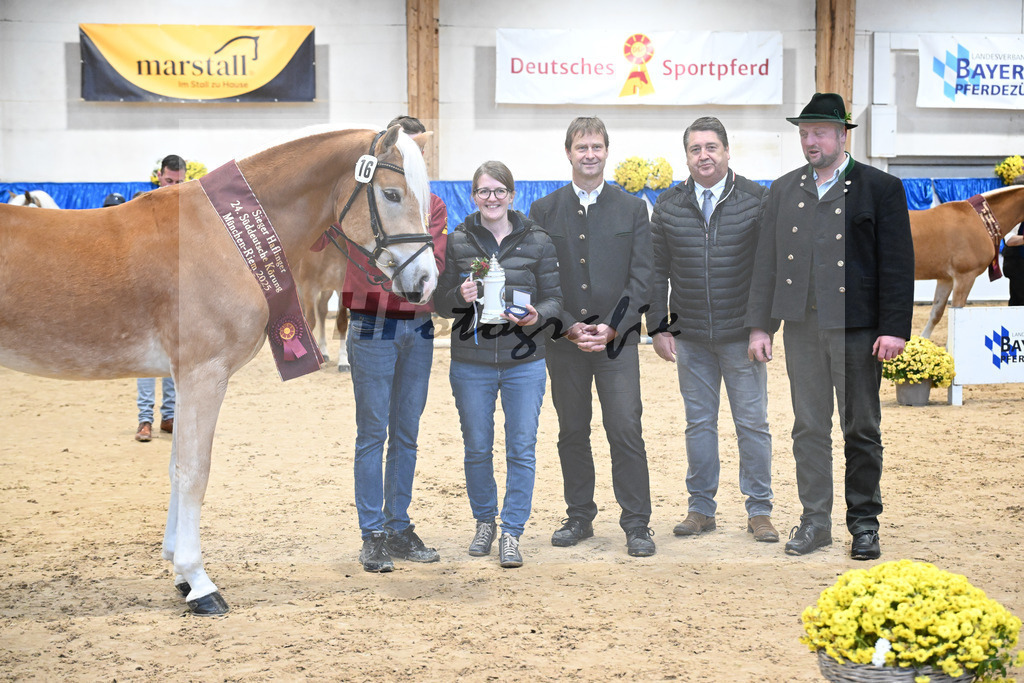 Kat-Nr. 16 nn v. Neustart_Obermeyer_48254212 | hf-fotografie - Realisiert mit Pictrs.com