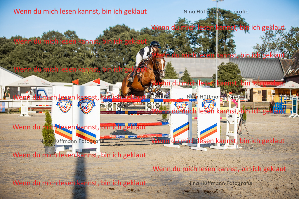 BK1A8889 | Turnierbilder Turnierfotos Nina Hüffmann Turnierfotografie Pferdefotografie Tierzeichnung Haustierzeichnung Pferdezeichnung Hundezeichnung Videograf  - Realisiert mit Pictrs.com
