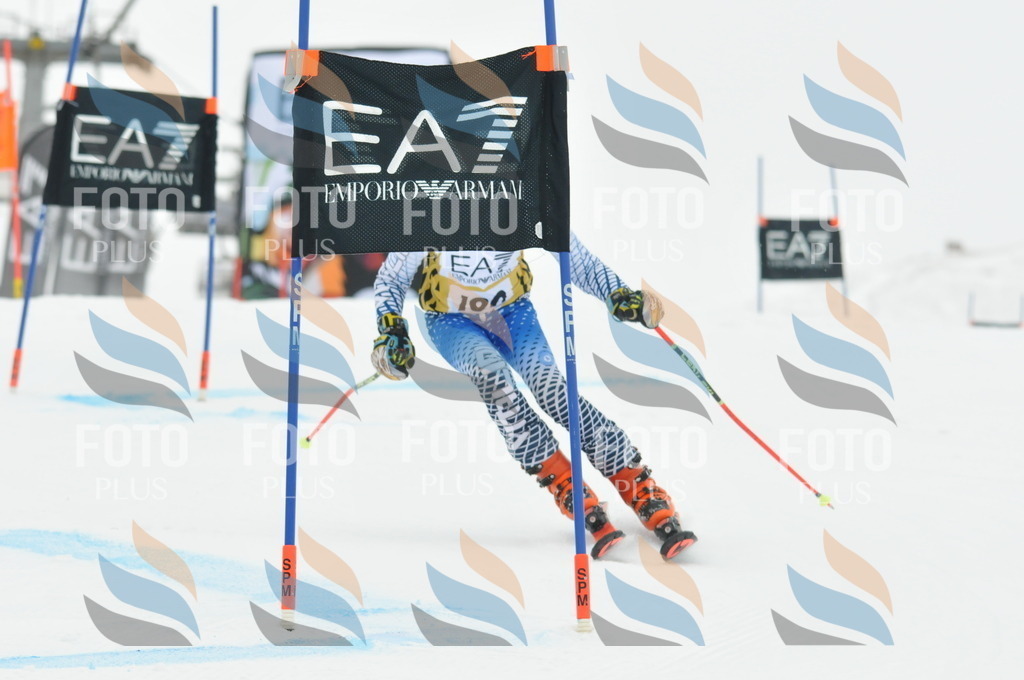 DSC_8664 | holidayphoto