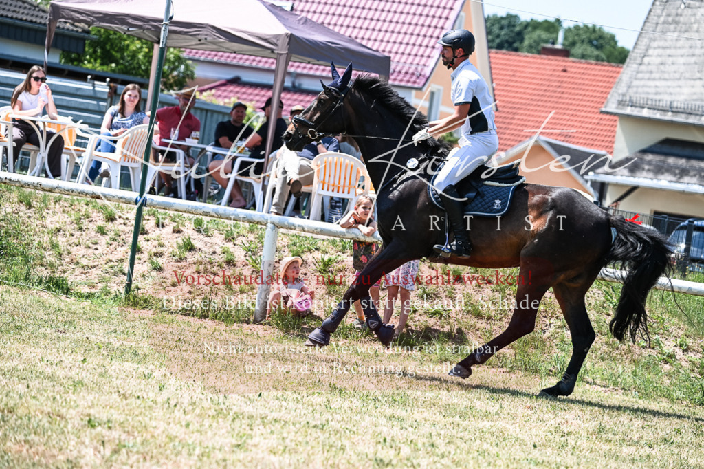 DSC_0321 | Pferde- und Turnierfotografie in Westsachsen. Pferdeportraits, Auftragszeichnungen und intuitive Kunst.