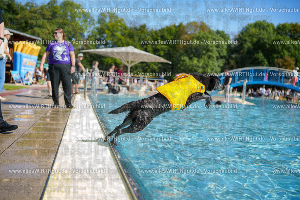 allesWIRTHgut Tierfotografie - allesWIRTHgut.de - 7IV08066 | Professionelle Tierfotografie in Mönchengladbach von Daniel Wirth (allesWIRTHgut). Liebevolle & natürliche Bilder von Hunden & Katzen für unvergessliche Erinnerungen.