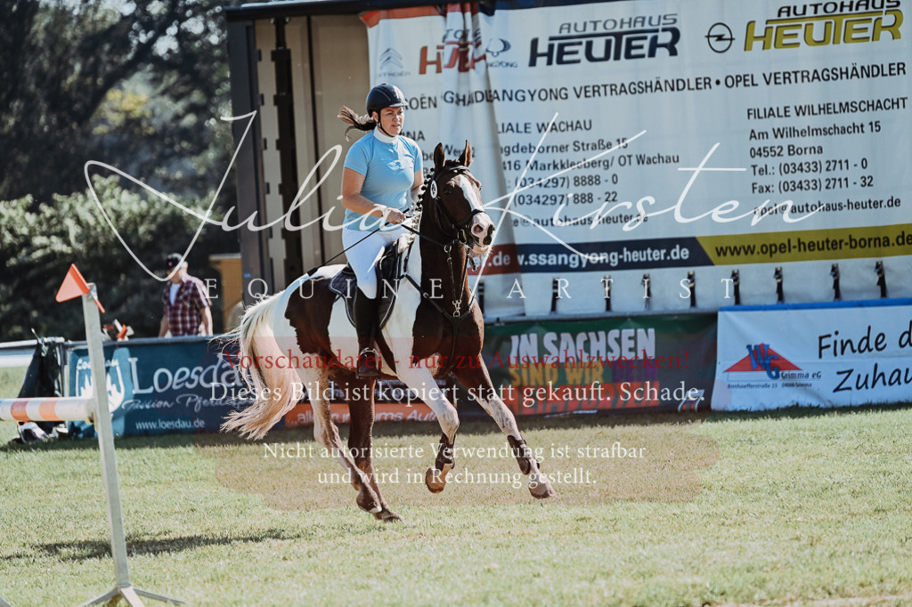 DSC_5472 | Pferde- und Turnierfotografie in Westsachsen. Pferdeportraits, Auftragszeichnungen und intuitive Kunst.