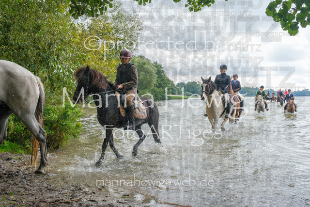 Jagd Perdoel_MarinaHewigDSCF3677 | Fotografie, FotoArt, PferdesportArt, Pferdesportfotografie, Landschaftsfotografie, Reisefotografie, Reise, Pferde - Realisiert mit Pictrs.com