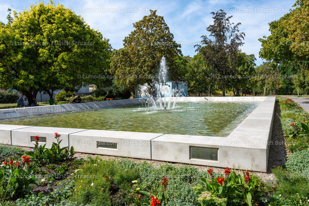 10049-14220 - Springbrunnen am Breiten Tor - Halberstadt | Stockfoto und Bilderpool mit Bildmaterial aus Deutschland, dem Harz, Halberstadt, Quedlinburg, Wernigerode und weltweit. Qualitativ hochwertige und professionelle Fotos anschauen und kaufen. - Realisiert mit Pictrs.com
