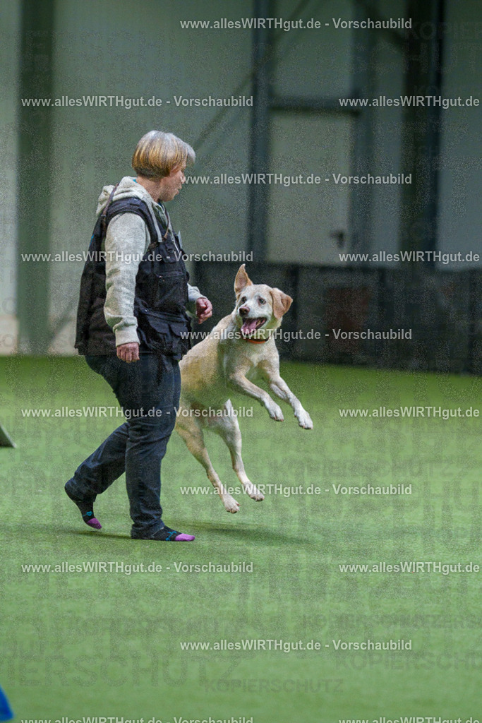 7R506336 | Professionelle Tierfotografie in Mönchengladbach von Daniel Wirth (allesWIRTHgut). Liebevolle & natürliche Bilder von Hunden & Katzen für unvergessliche Erinnerungen.