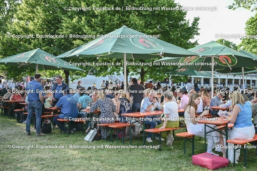 D78_3791 | equistock