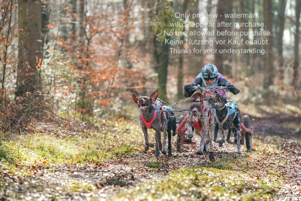 So2_Gespanne-2 | stephaniefillaphotographie - Realisiert mit Pictrs.com