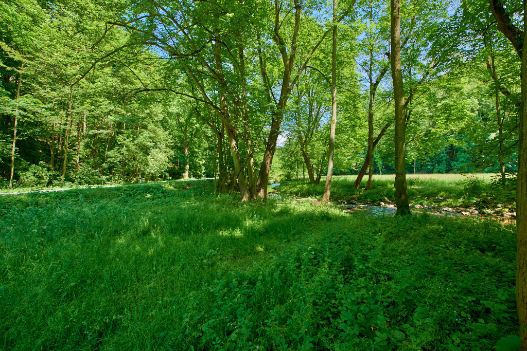 steilhängige bis felsige Talstrecke der Seidewitz 06 | Bedeutsame Landschaften Deutschlands - Realisiert mit Pictrs.com