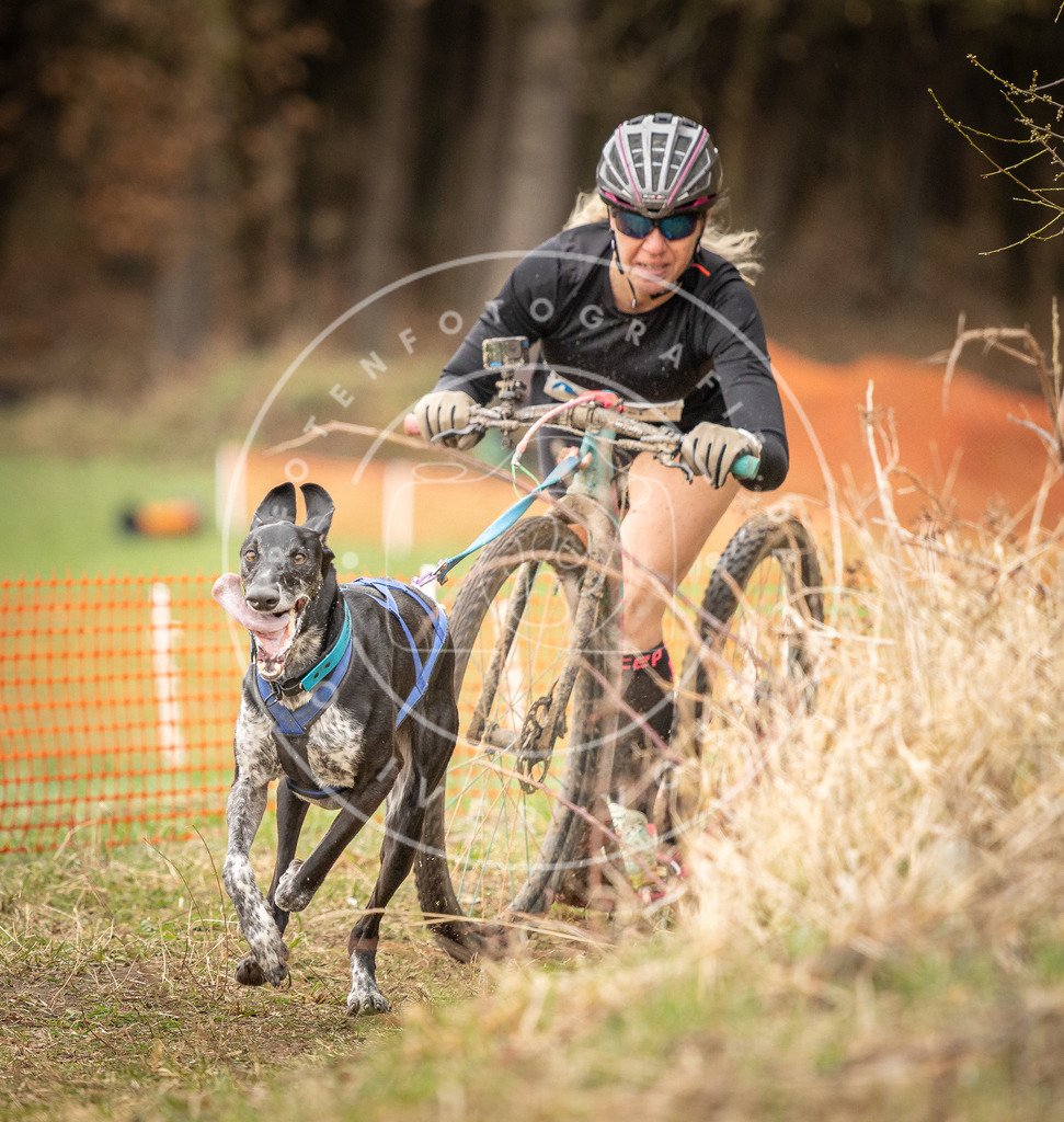 DV3A1726 | Hundefotografie, Tierfotograf, Pfotenfotografie, Fotoshooting Hund, Hunde Portrait, Hundesport, Hundeportraits, Heideshooting, Hunde, Sportfotograf, Hundefotograf, Turnierhundsport, THS,  - Realisiert mit Pictrs.com