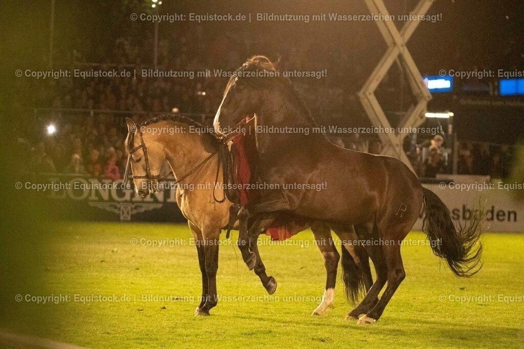 20230526_Pferdenacht_1453 | equistock