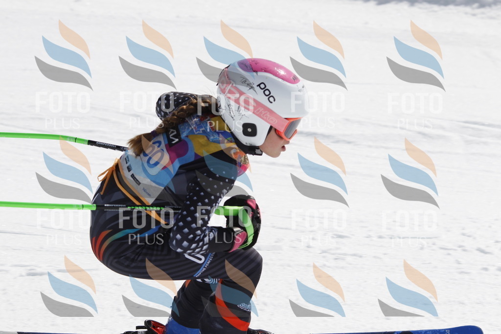 _U3G1392 | holidayphoto