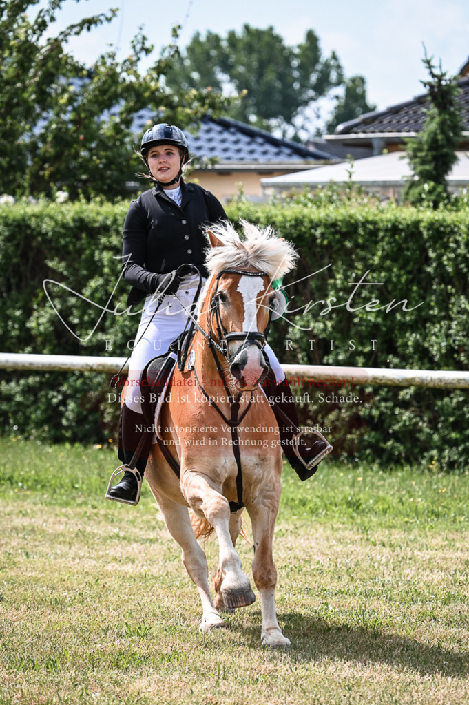 DSC_8637 | Pferde- und Turnierfotografie in Westsachsen. Pferdeportraits, Auftragszeichnungen und intuitive Kunst.