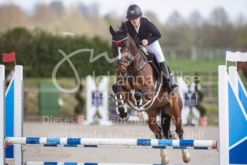 250419_Frühlingsfest_A-Stil1-400 | Deine schönsten Turniermomente als professionelle Fotos! Entdecke hochwertige Pferdesport-Fotografie im Online-Shop. Jetzt Fotos finden & bestellen!