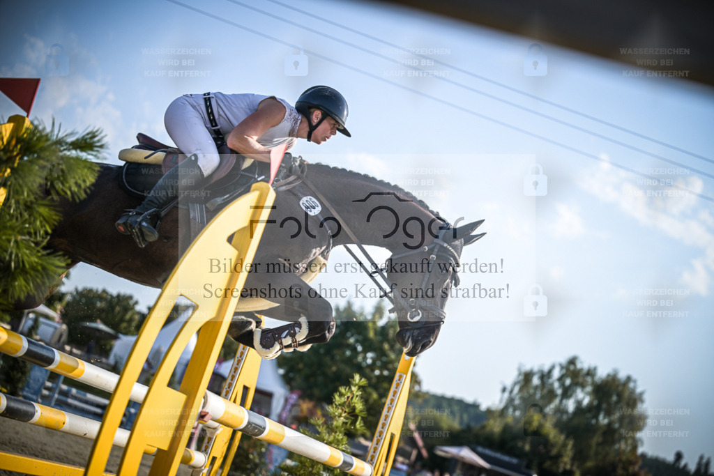 DOS_1566 | Entdecke hochwertige Reitturnierfotos von Foto Oger. Professionell, emotional und authentisch – jetzt Lieblingsmomente im Shop bestellen. - Realisiert mit Pictrs.com