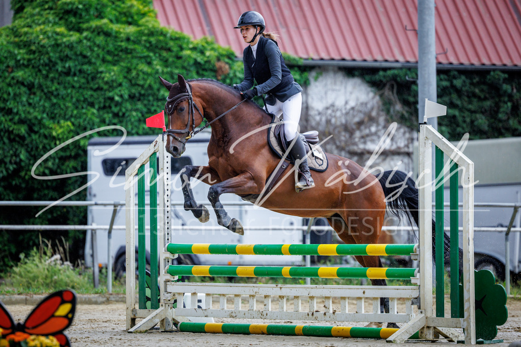 20260705-_3LI3509 | Tierfotografie Pferde, Hunde, Katzen, Haustiere.
Turnierfotografie Reitturniere, Reiten, Springreiten, Dressur in Hanau, dem Main-Kinzig-Kreis und dem Rhein-Main- Gebiet um Frankfurt