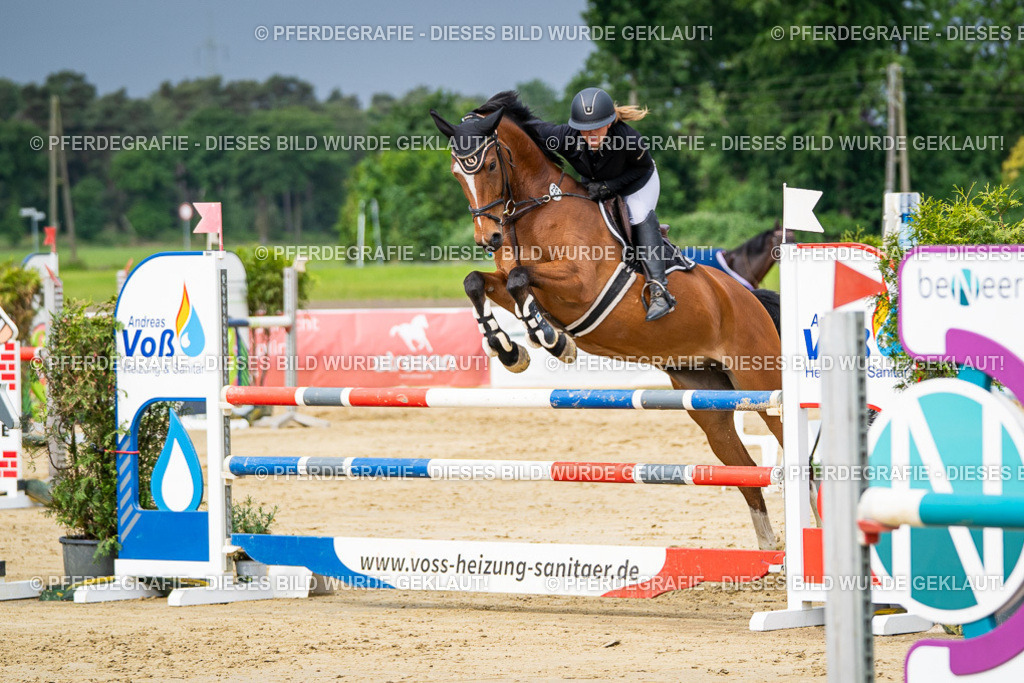 DSC04034 | Pferdegrafie