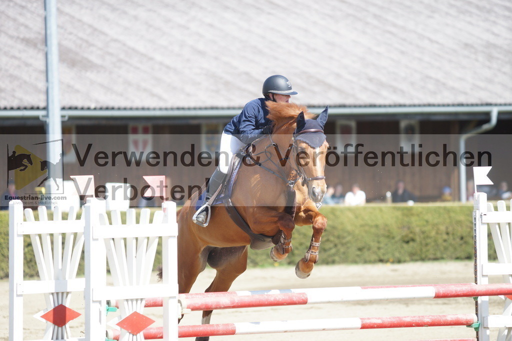 DSC02952 | equestrian-live-com