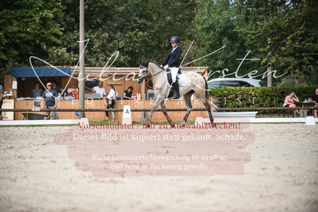 DSC_8693 | Pferde- und Turnierfotografie in Westsachsen. Pferdeportraits, Auftragszeichnungen und intuitive Kunst.