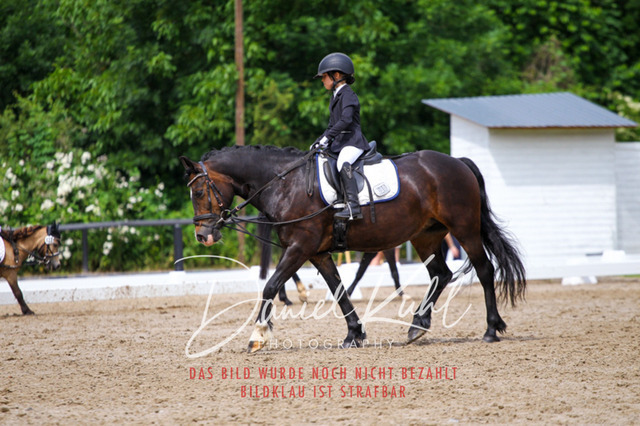 DKP47518 | Turnierfotos kaufen im Webshop von Daniel Kuhl Photography – entdecke professionelle Reitsportfotos aus Turnieren & Events. Hochwertige Turnierbilder online bestellen & sichern. Jetzt Fotos von Reitsportturnieren kaufen!