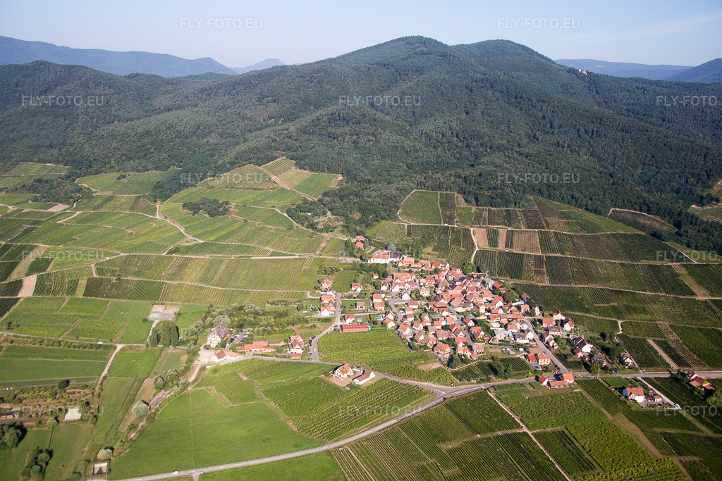 Vue aérienne: Champs agricoles et terres arables à Dieffenthal dans le département Bas Rhin, France. Photo: IMG_093270.jpg prise le 16/08/2016 par Werner Riehm/FLY-FOTO.eu – Résolution de l'original: 5472 x 3648 px
