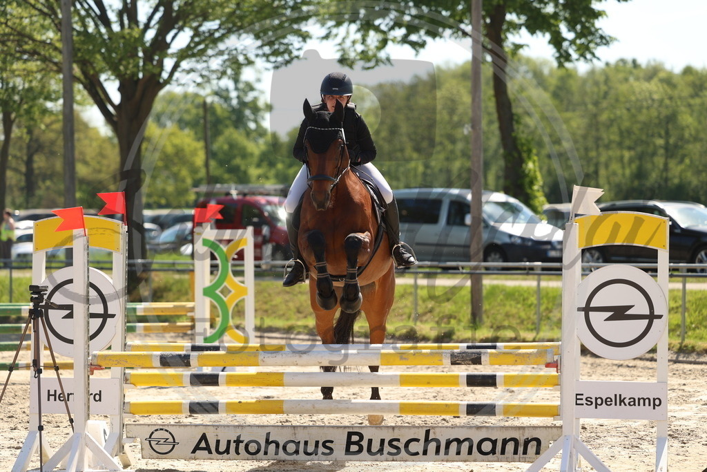 994A5671 | sabrinanicolaifotografie - Realisiert mit Pictrs.com