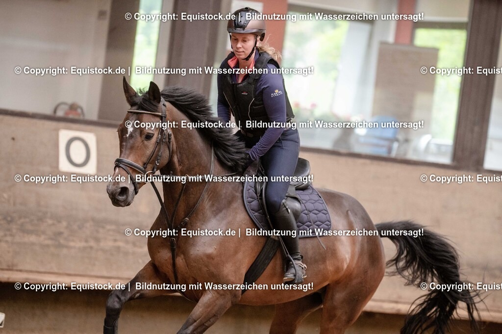 20250725_Vielseitigkeitslehrgang-Marbach_0625 | Foto: Thomas Hartig